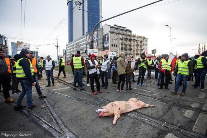 протести Польща Agrounia 