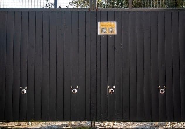 Британец просверлил дырки для собак в заборе и создал городскую достопримечательность