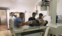 Голодний слон в Китаї напав на туристів, є постраждалі