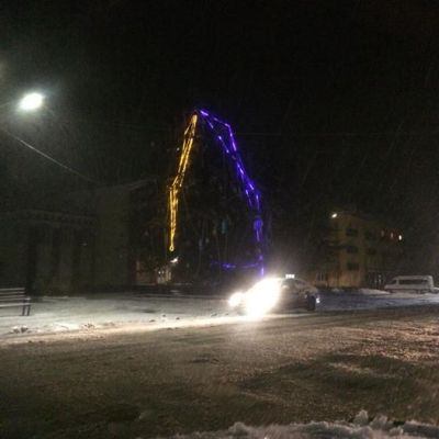 Жители украинского города высмеяли елку