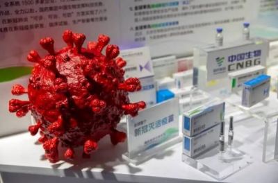 У трьох смертельно небезпечних коронавірусів виявили уразливі місця