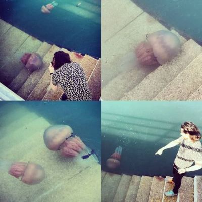 Берег британського курортного міста Торкі захопили гігантські медузи
