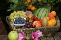 Перечислены продукты, которые противопоказаны людям с повышенной кислотностью