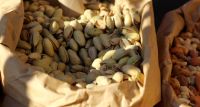 Медики перечислили полезные продукты при синдроме раздраженного кишечника