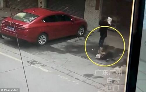 У Китаї жінці на голову впала собака