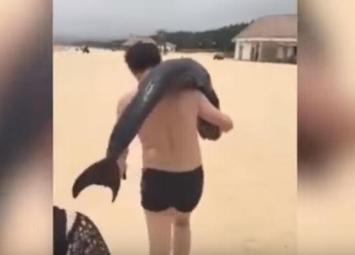 У Китаї турист вкрав живого дельфіна з пляжу
