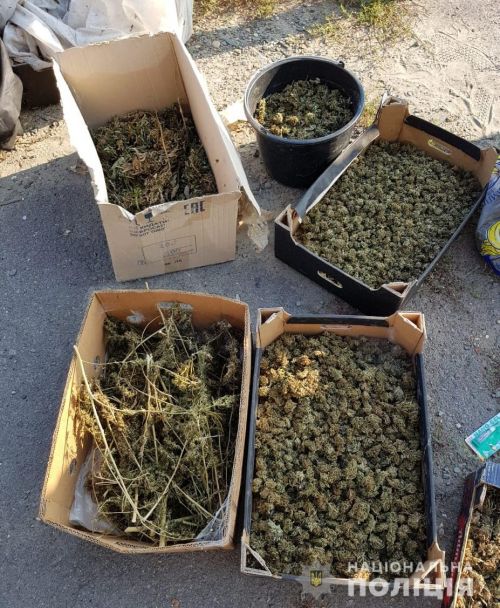 На Закарпатье обнаружили тайник с марихуаной на 39 млн гривен