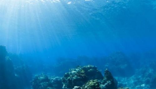 Ученые обнаружили гигантскую мертвую зону в Индийском океане