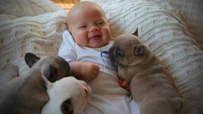 Трогательные фото младенцев и собак: когда четвероногий друг лучше няни (ФОТО)