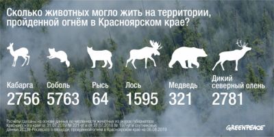 Тысячи диких животных погибли или сбежали из РФ