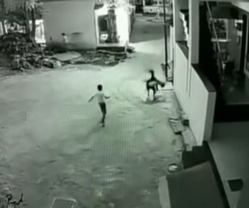 В Індії хлопчик падаючи з третього поверху випадково приземлився на спину друга: відео