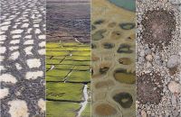 Удивительные геометрические рисунки и узоры на почве (ФОТО)