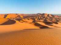 Ученые нашли способ превратить Сахару в цветущий сад