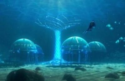У берегов Италии вырастили удивительный подводный огород