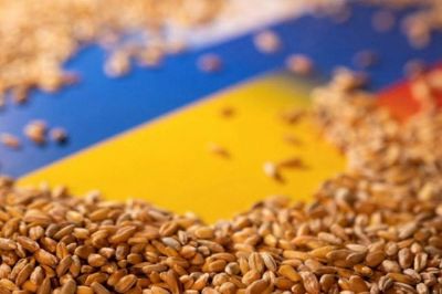 Румыния в два раза увеличит коридор для зерна из Украины