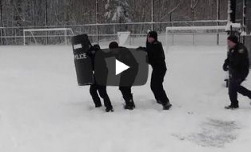 Снежные «баталии» полицейских позабавили Сеть
