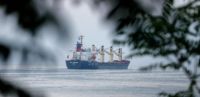 Аграрные министры ЕС подтвердили, что готовы содействовать экспорту украинского зерна