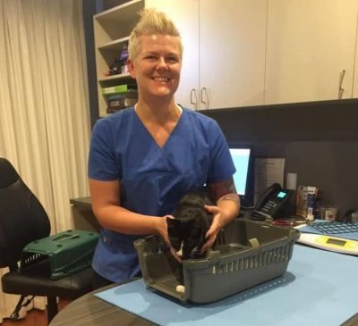 В Австралії кошеня вижило після півгодинного прання в машинці
